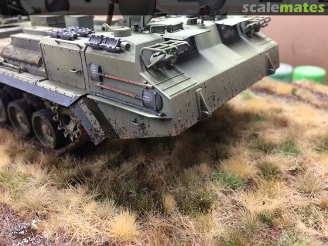 View album, image #43 View album, image #43