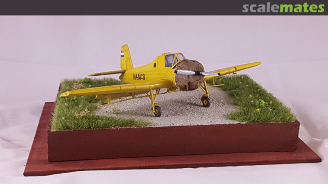 View album, image #1