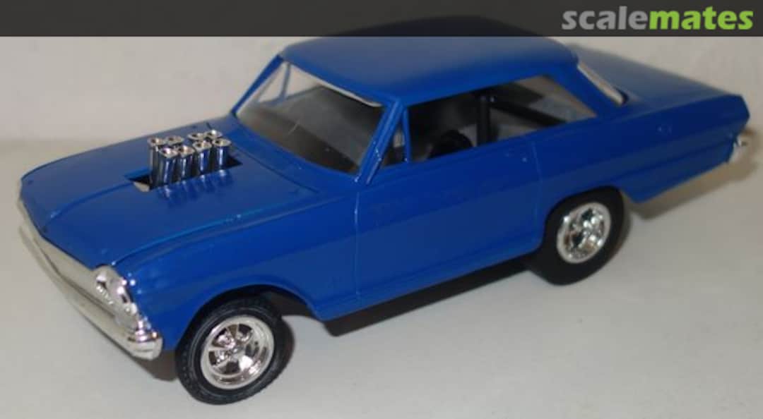 View album, image #1 View album, image #1