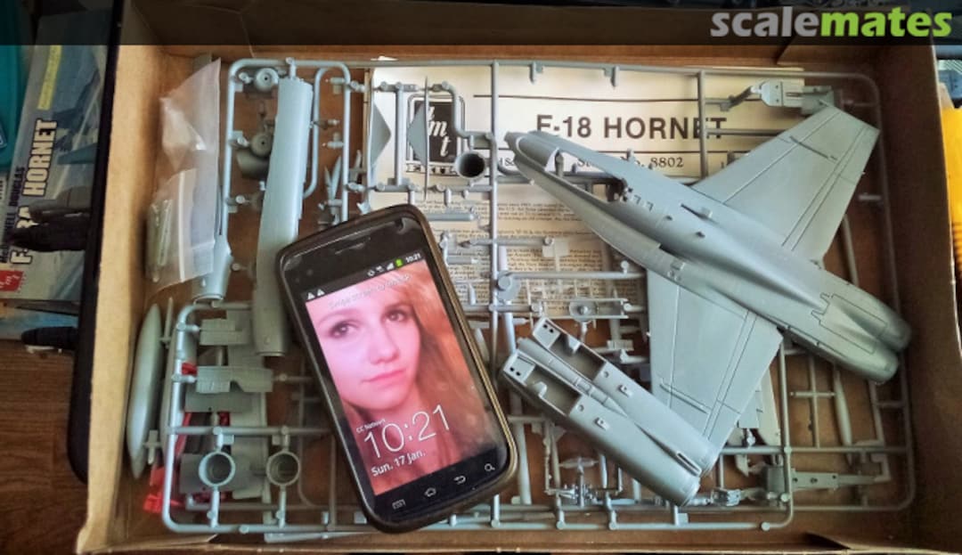 View album, image #1 View album, image #1