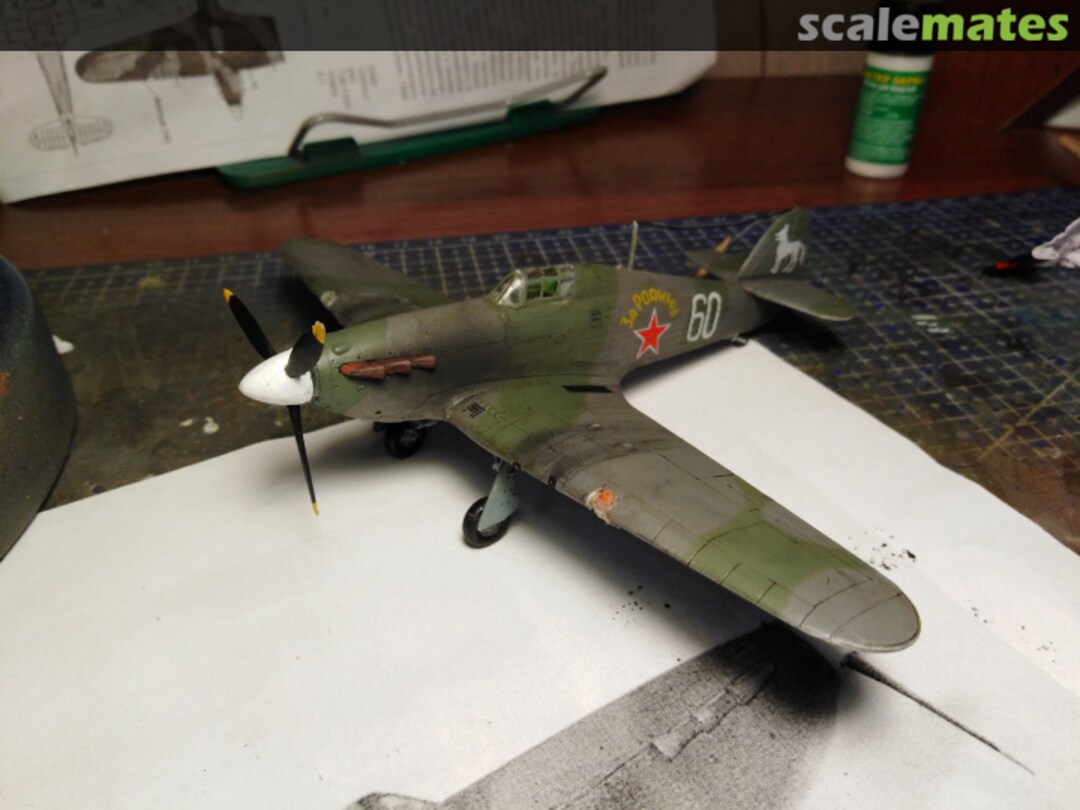 View album, image #1