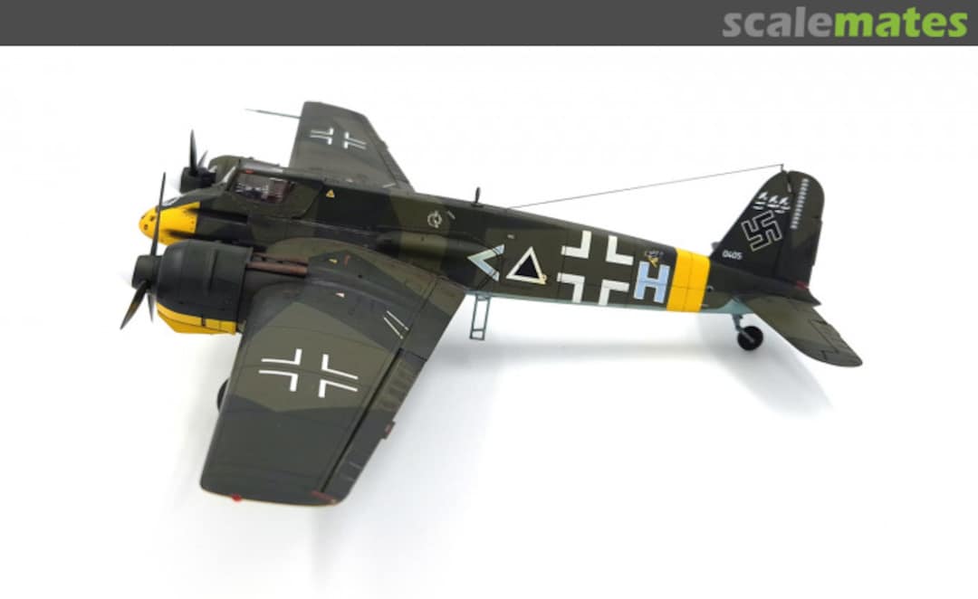 View album, image #1 View album, image #1