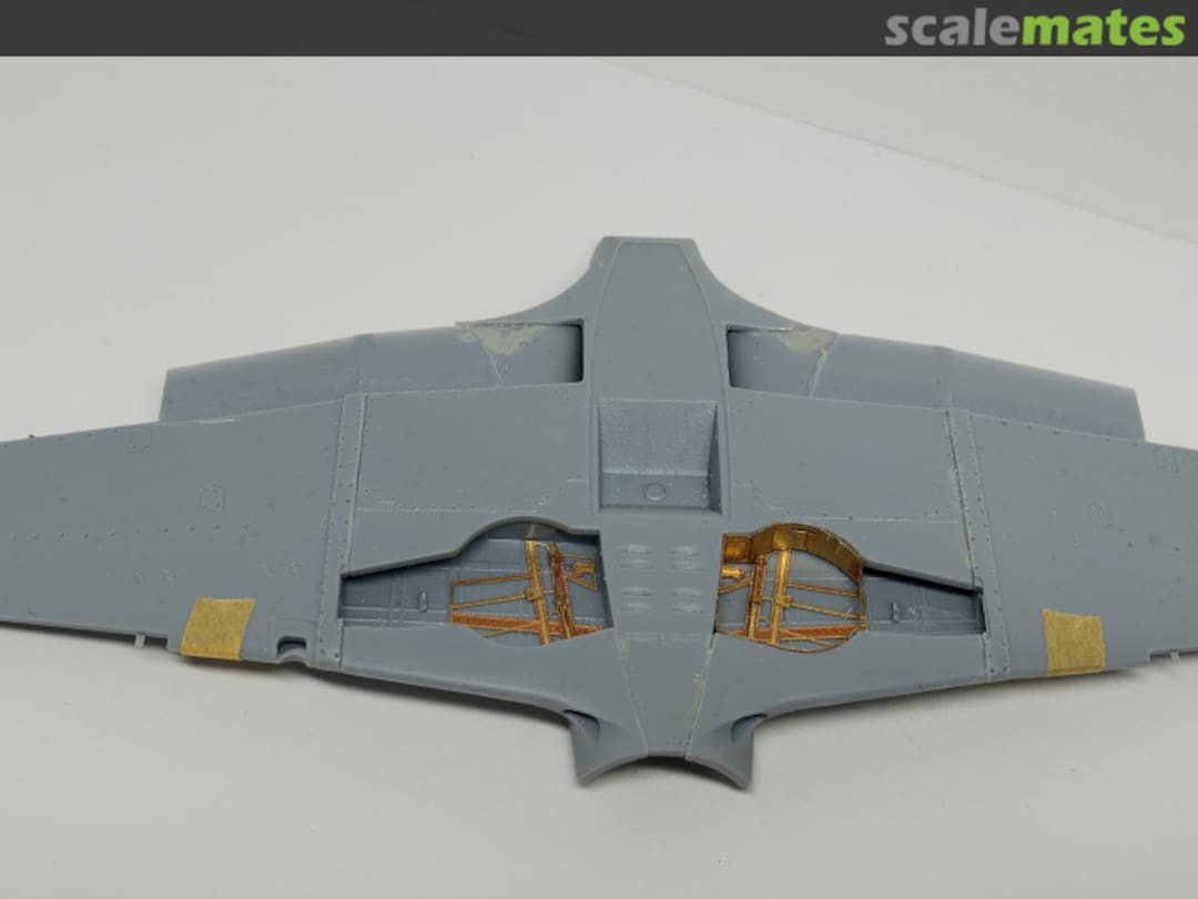 View album, image #1 View album, image #1