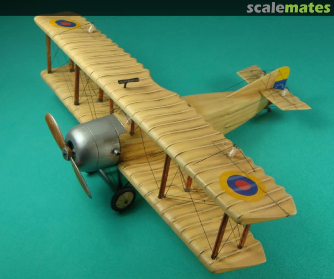 View album, image #1