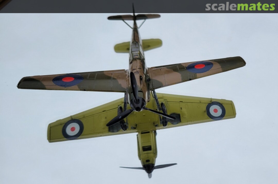 View album, image #9 View album, image #9