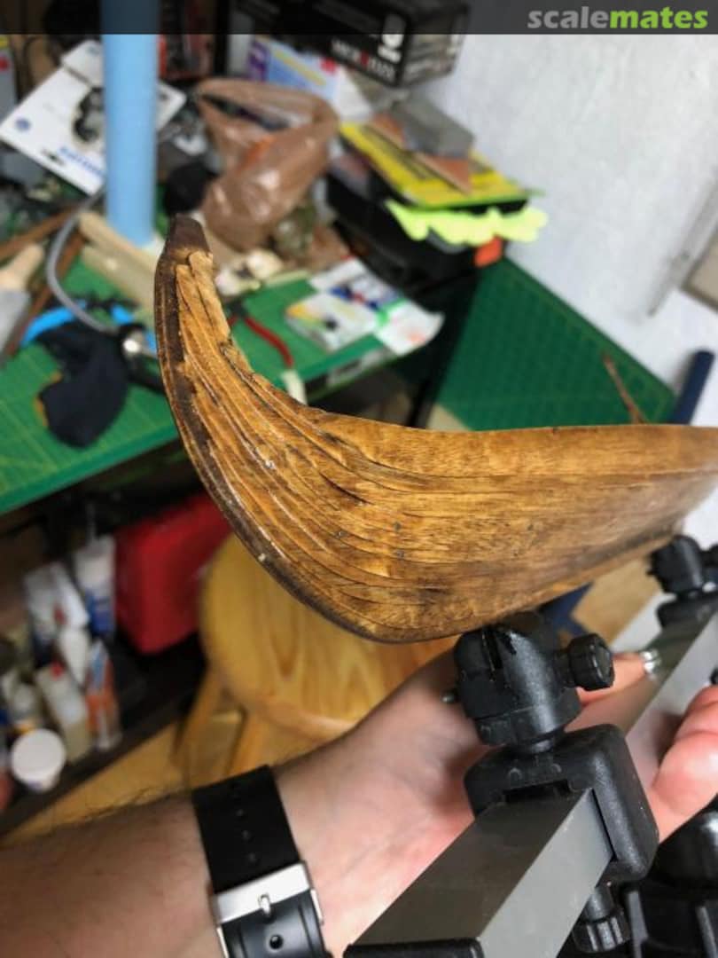 View album, image #1 View album, image #1