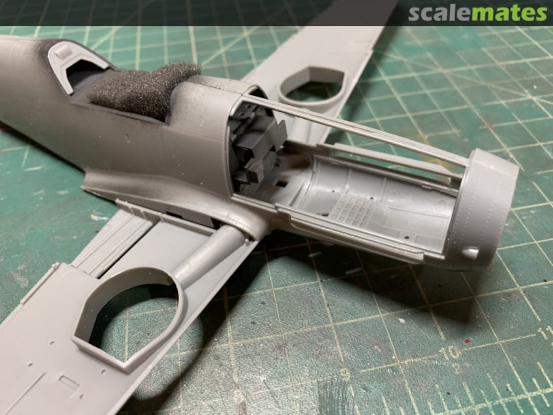 View album, image #1 View album, image #1