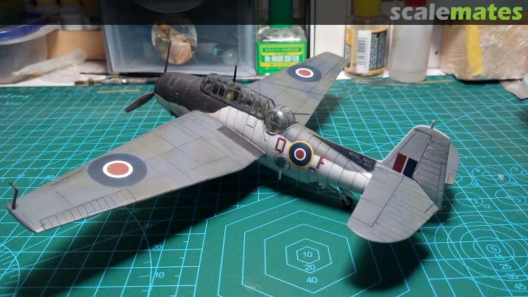 View album, image #11 View album, image #11