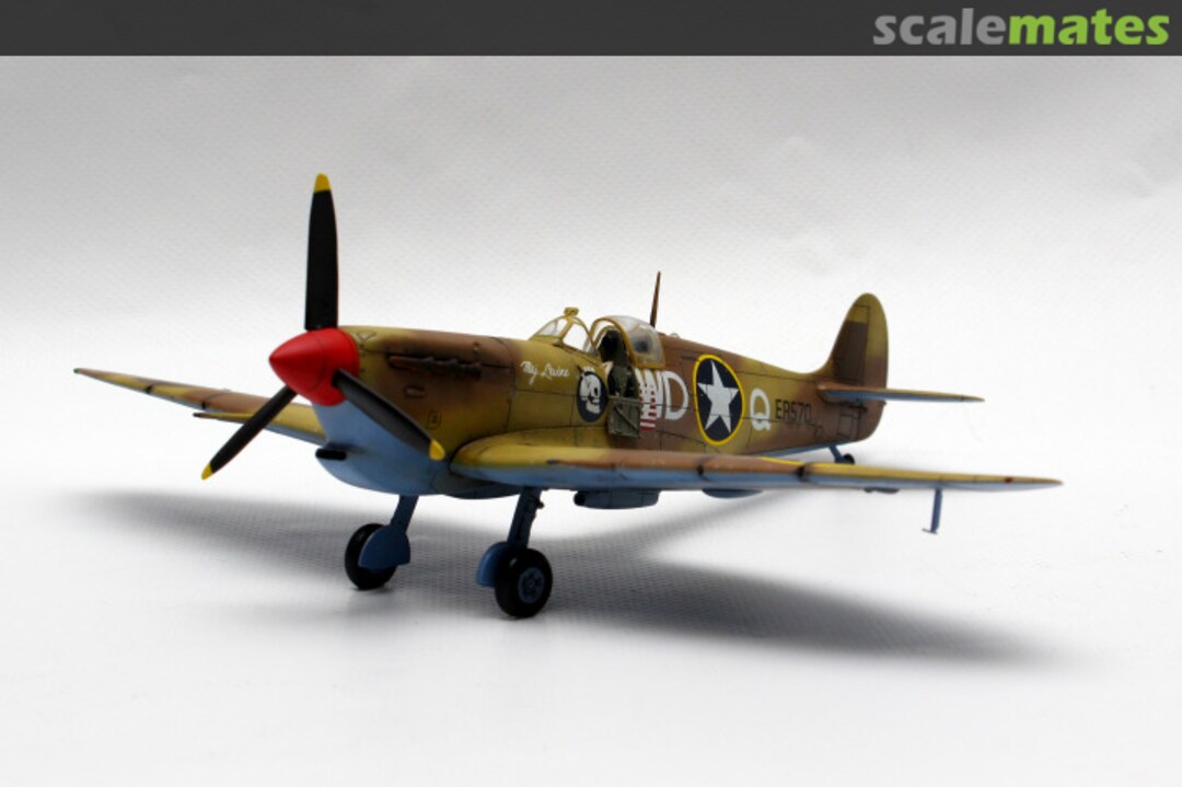 View album, image #1 View album, image #1