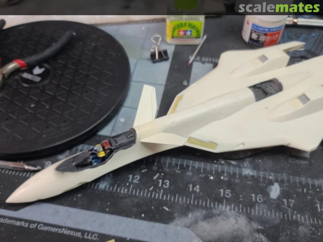 View album, image #1 View album, image #1