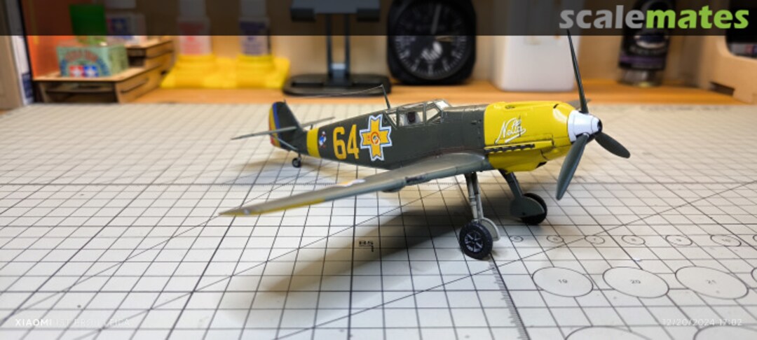 View album, image #1 View album, image #1