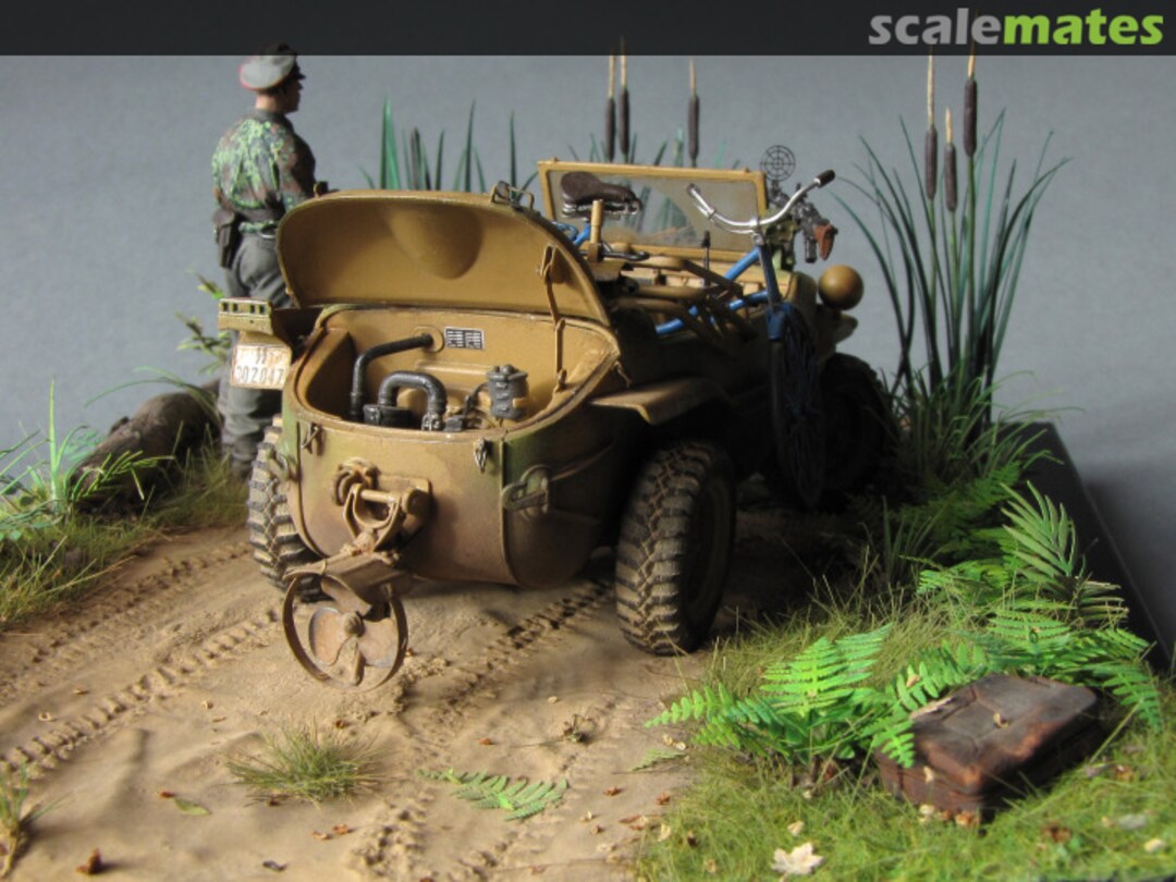 View album, image #1 View album, image #1