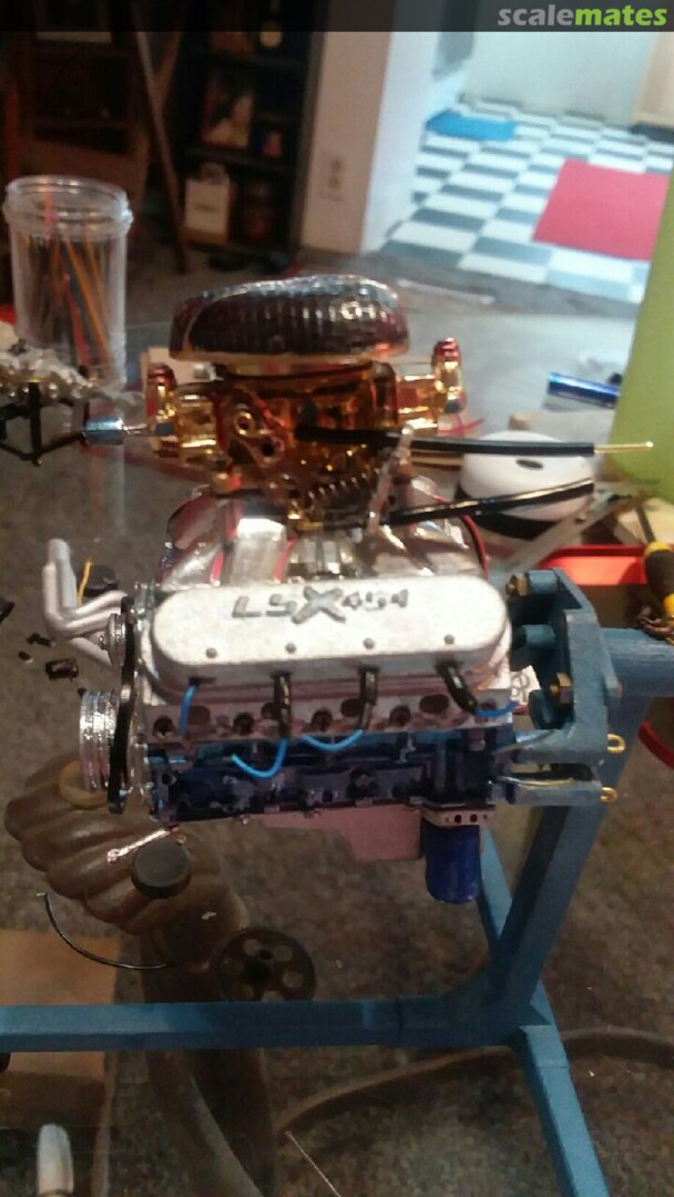 View album, image #1