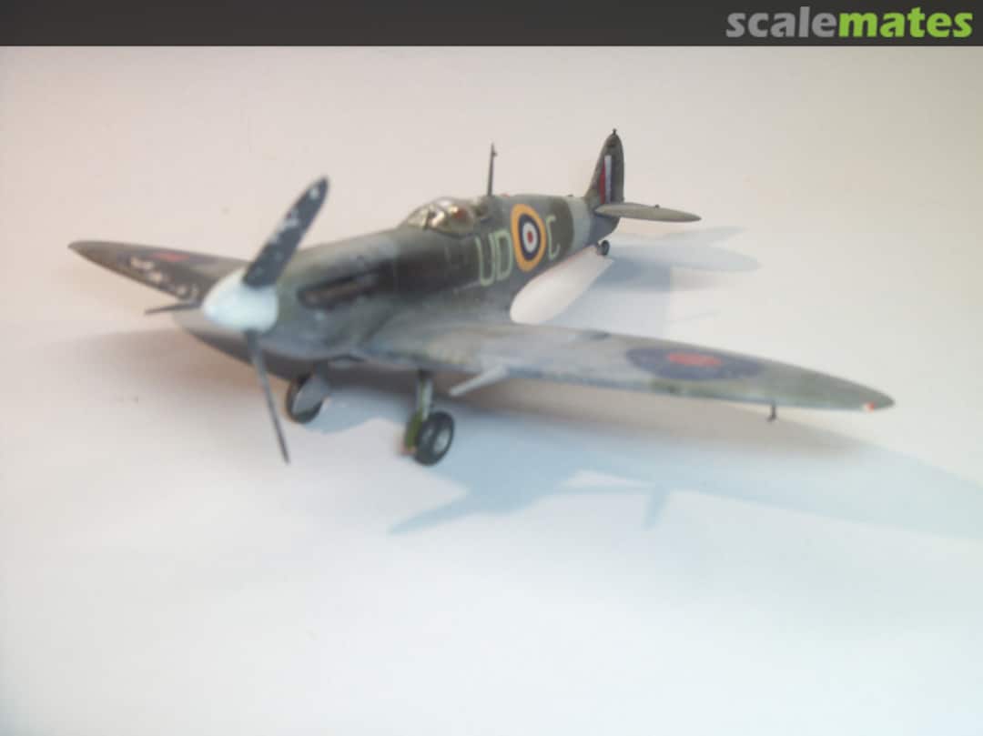 View album, image #18 View album, image #18