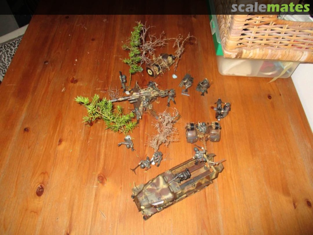 View album, image #1