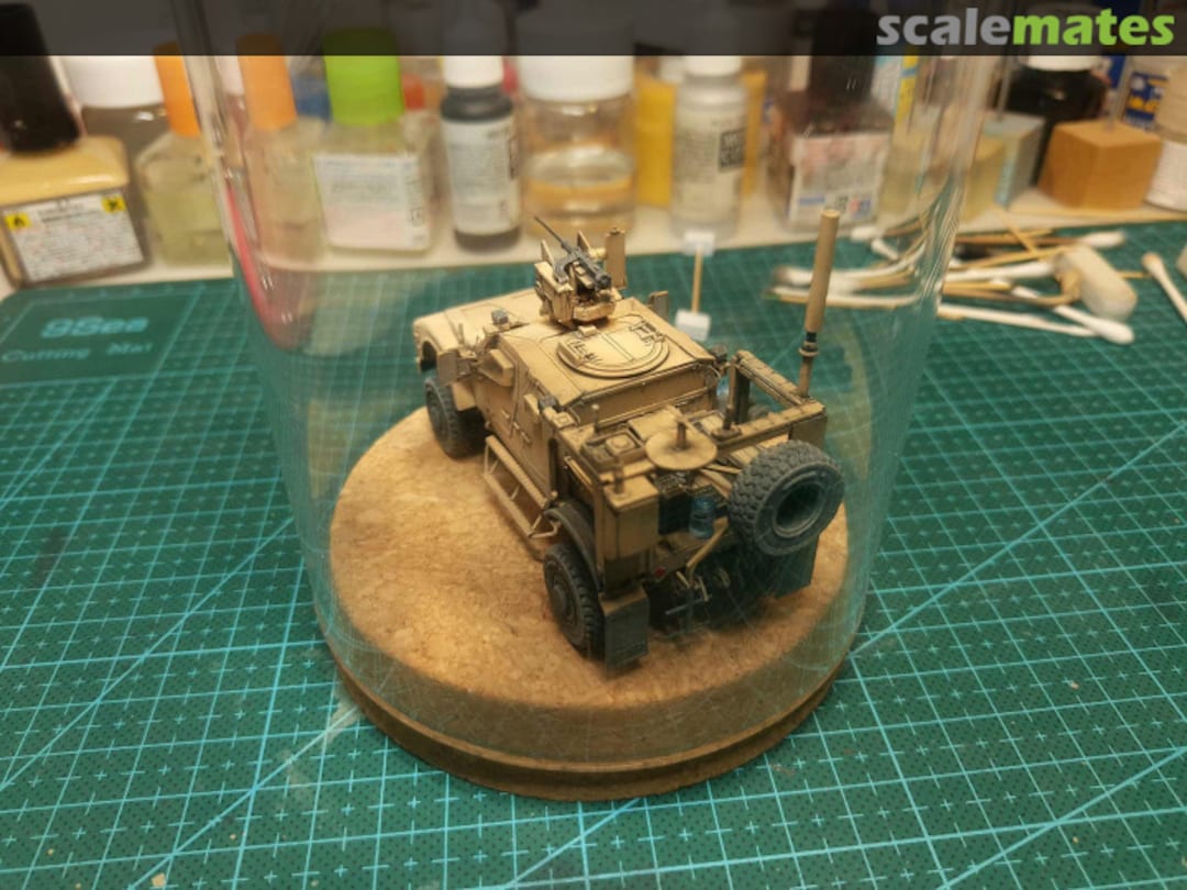 View album, image #1 View album, image #1