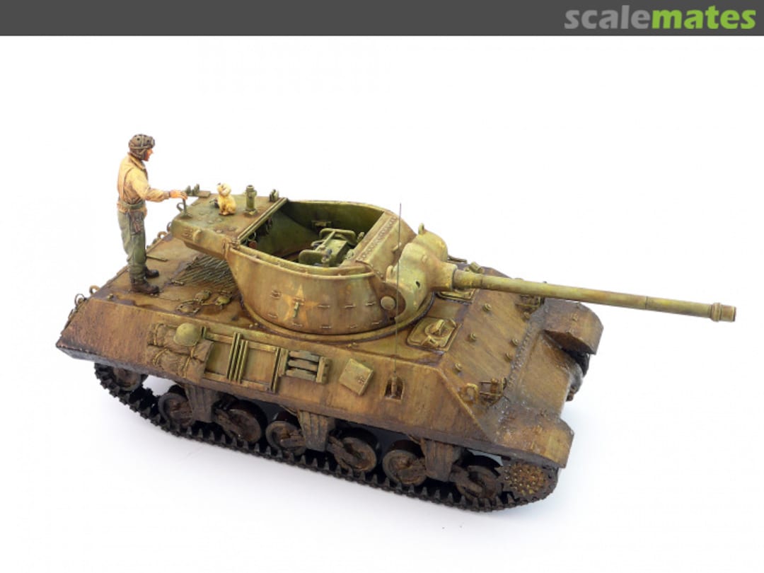 View album, image #1 View album, image #1