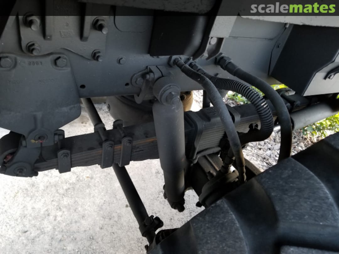 View album, image #13 View album, image #13