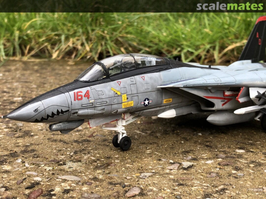 View album, image #1