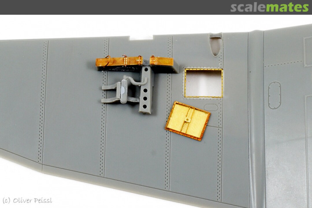 View album, image #1 View album, image #1