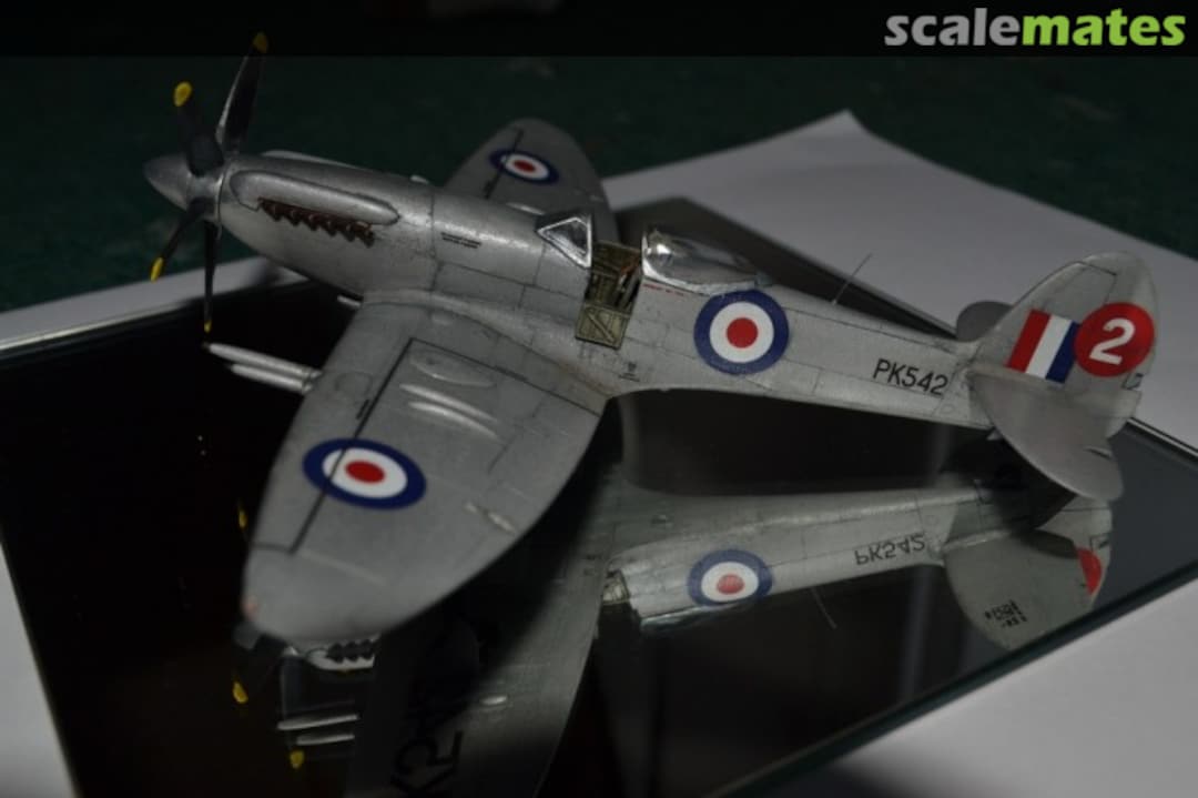 View album, image #9 View album, image #9