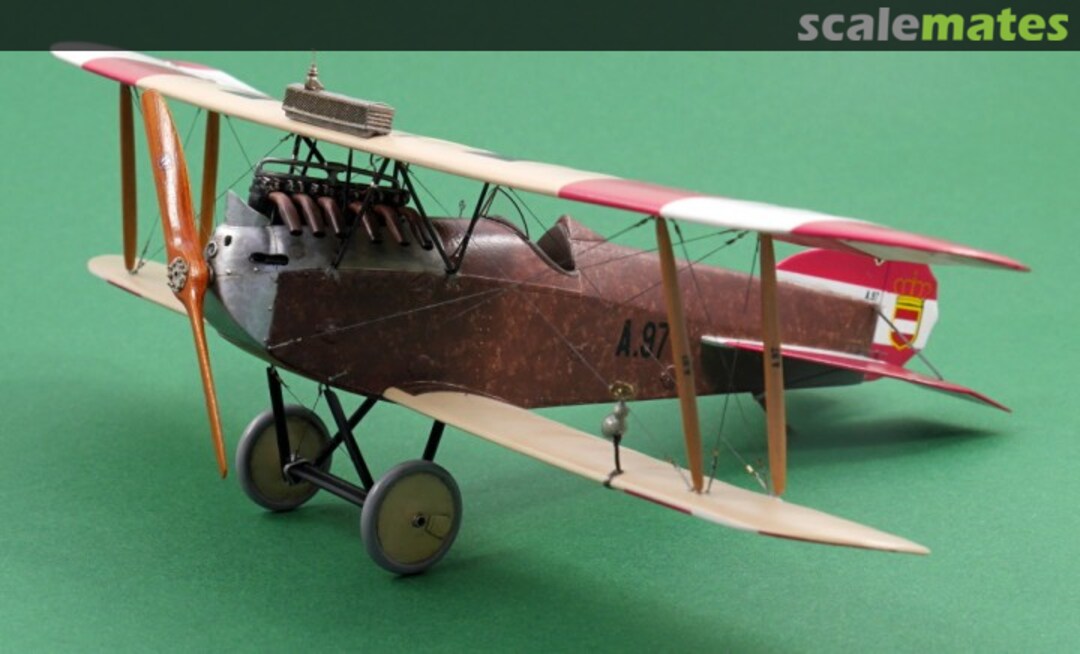 View album, image #1 View album, image #1