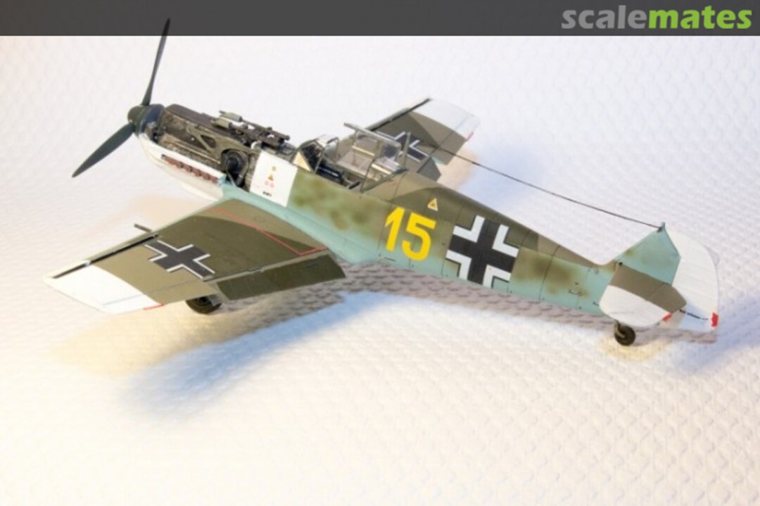 View album, image #12 View album, image #12