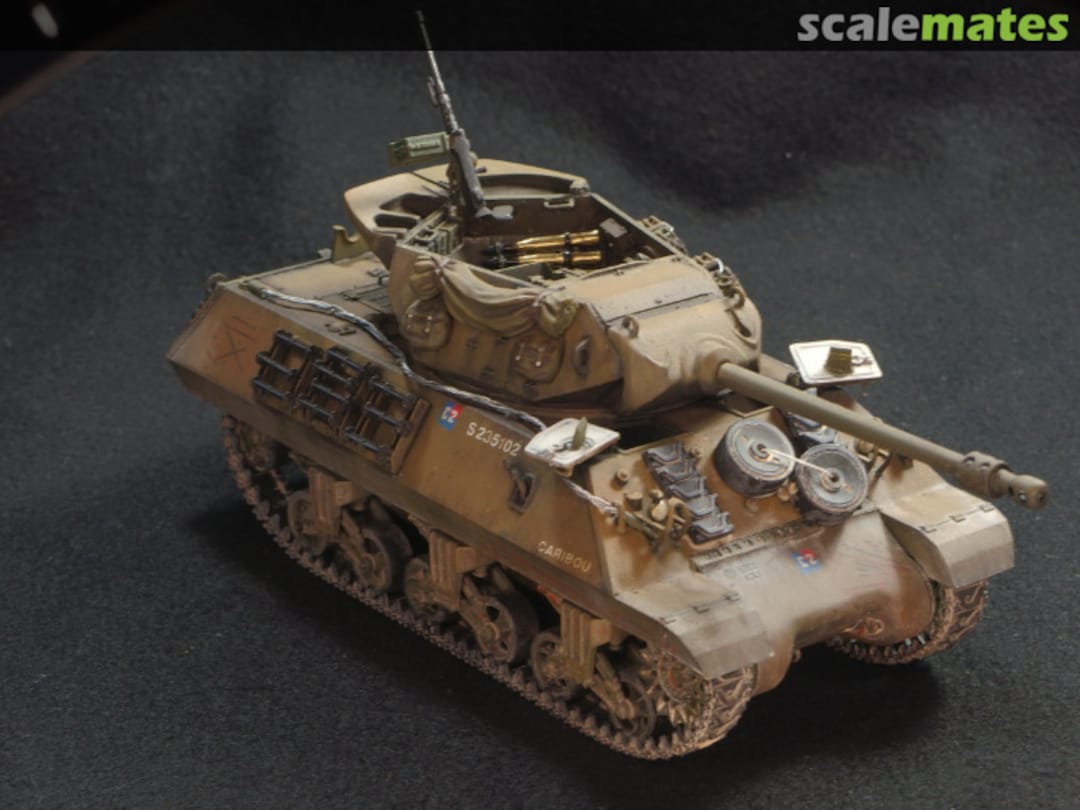 View album, image #13 View album, image #13