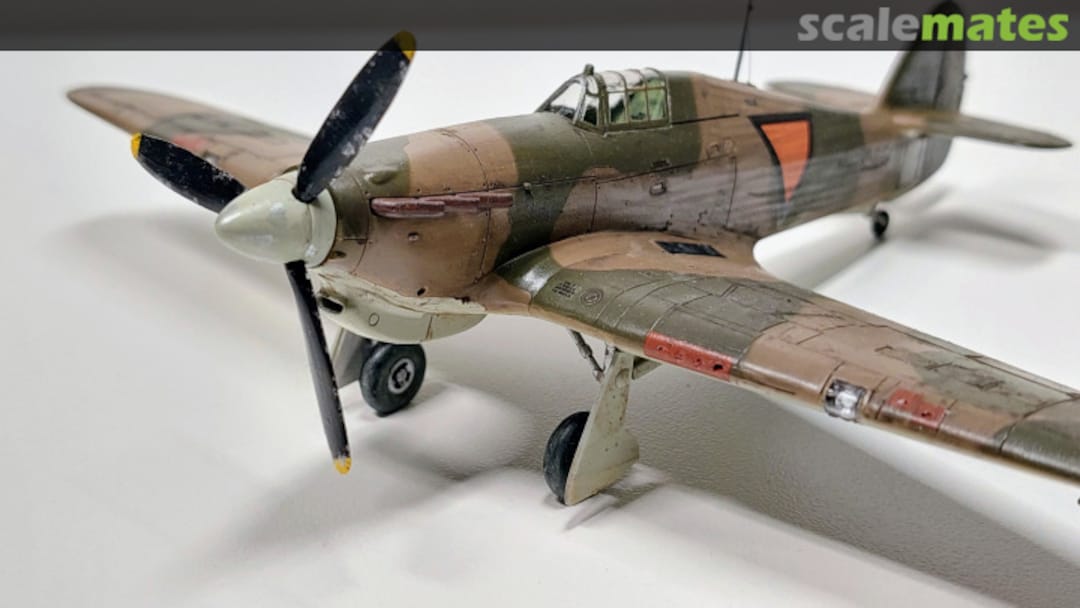 View album, image #57 View album, image #57