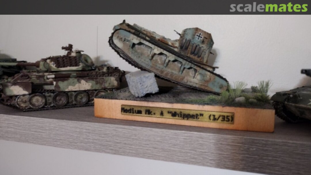 View album, image #1 View album, image #1