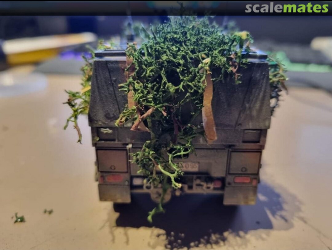 View album, image #1