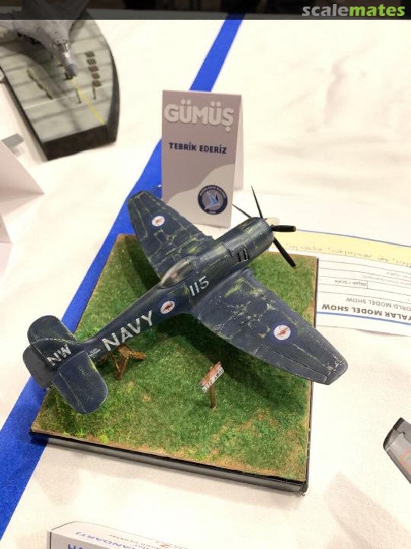 View album, image #15 View album, image #15