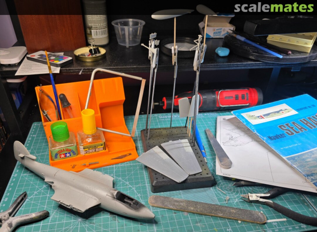 View album, image #11 View album, image #11