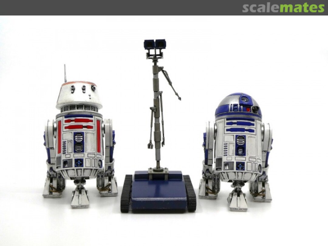 View album, image #14