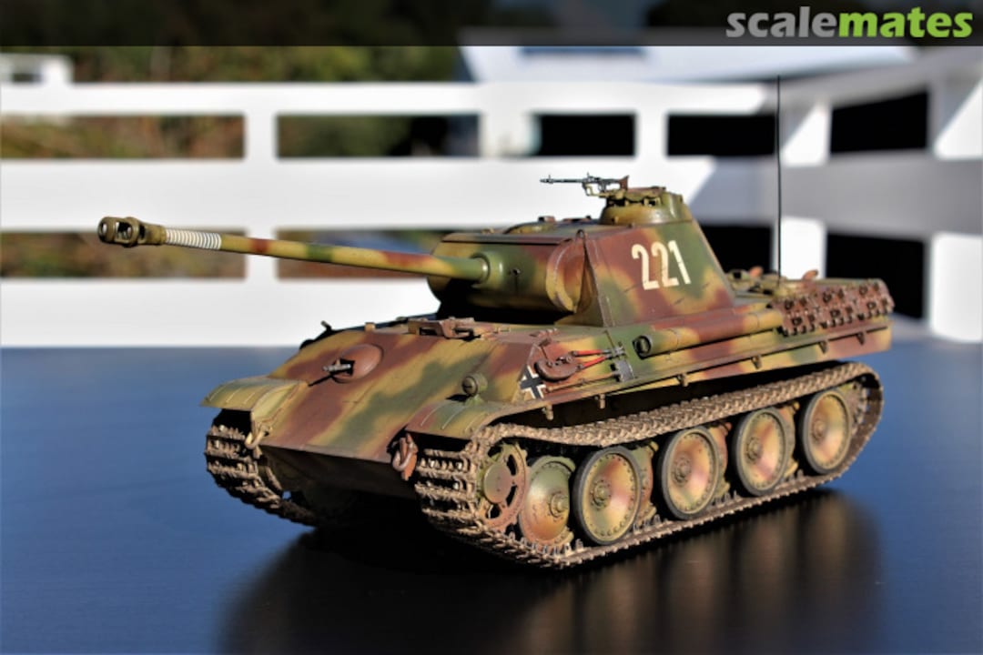 View album, image #1 View album, image #1