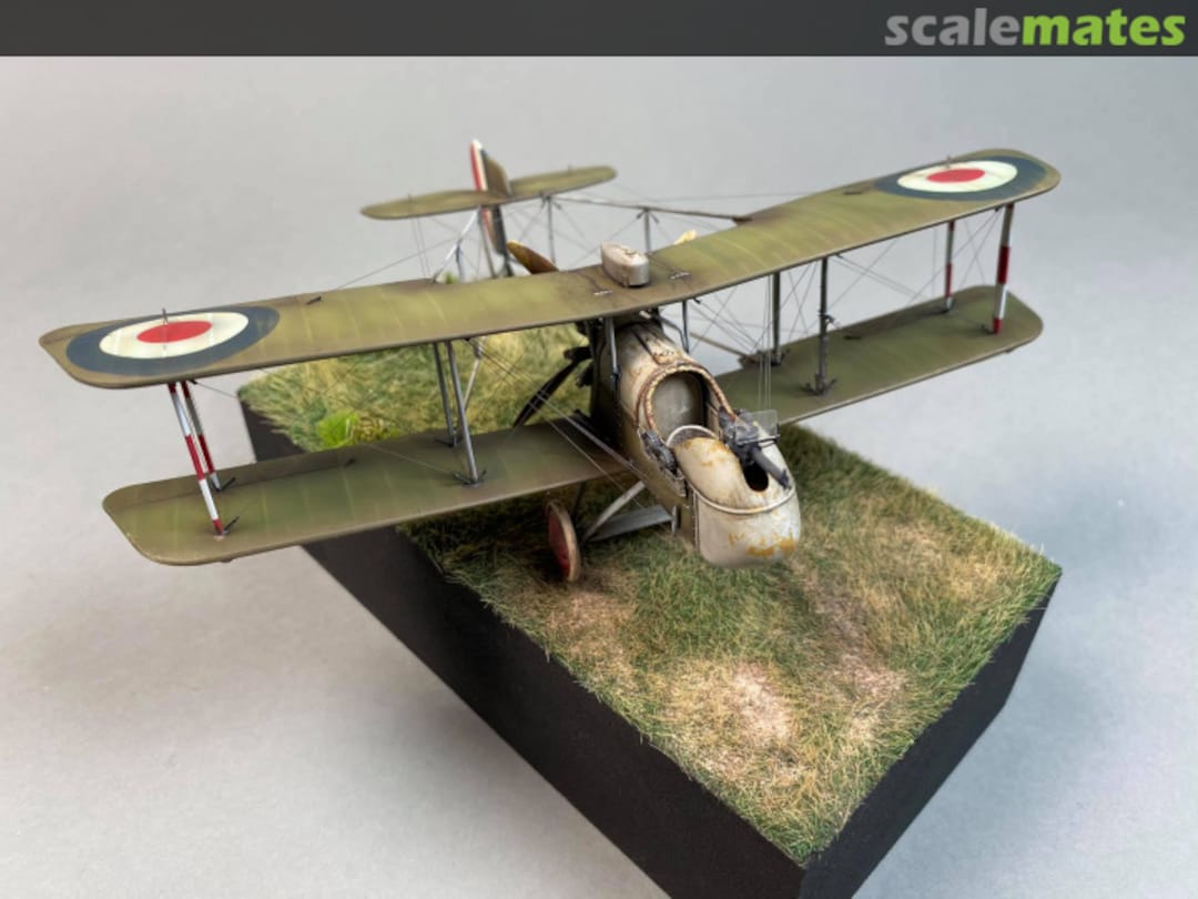 View album, image #3 View album, image #3