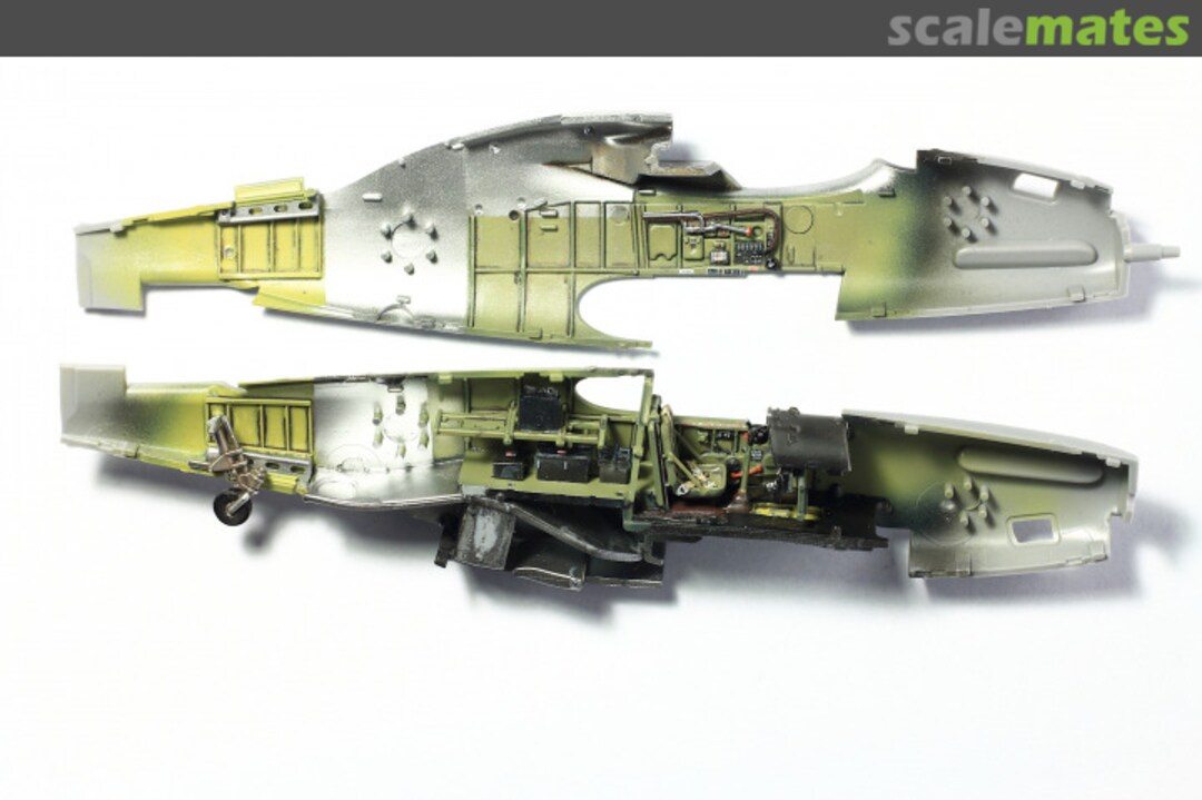 View album, image #1