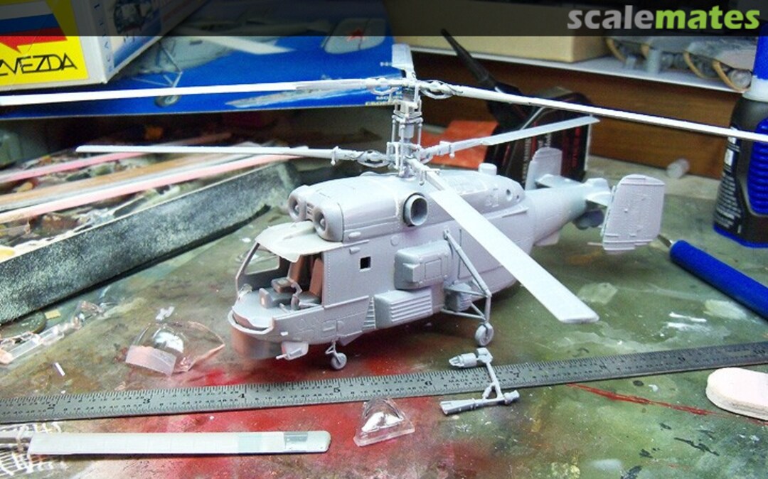 View album, image #1 View album, image #1