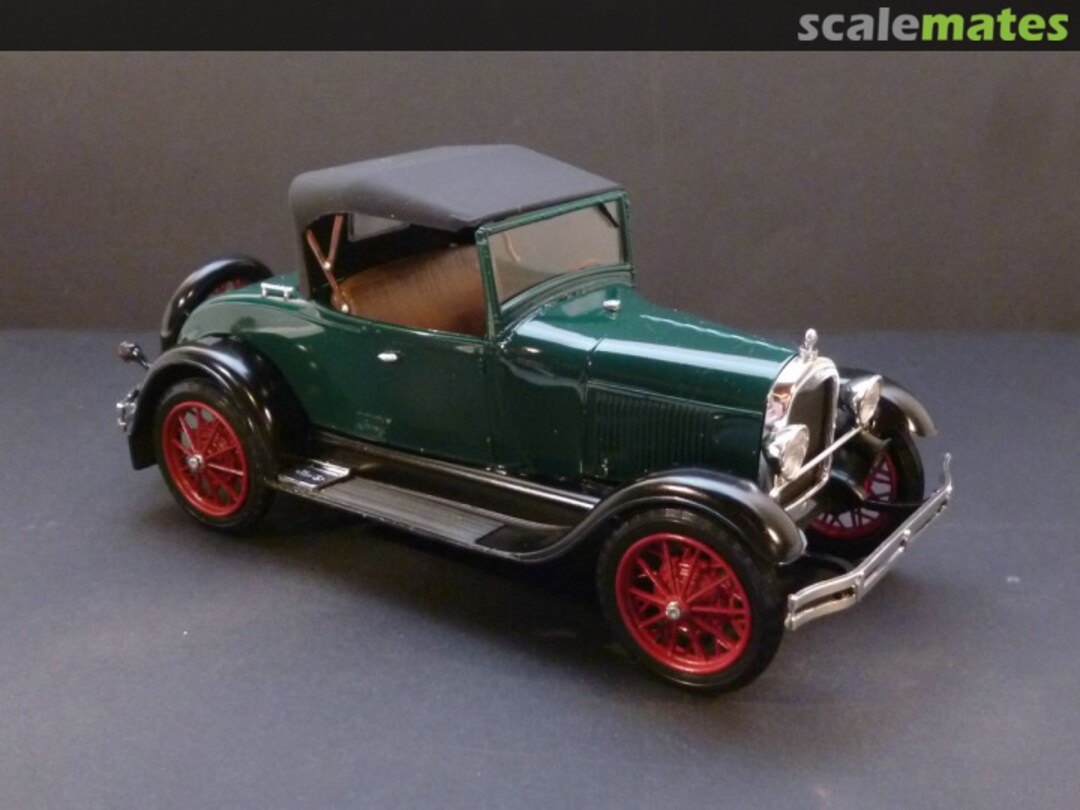 View album, image #1 View album, image #1