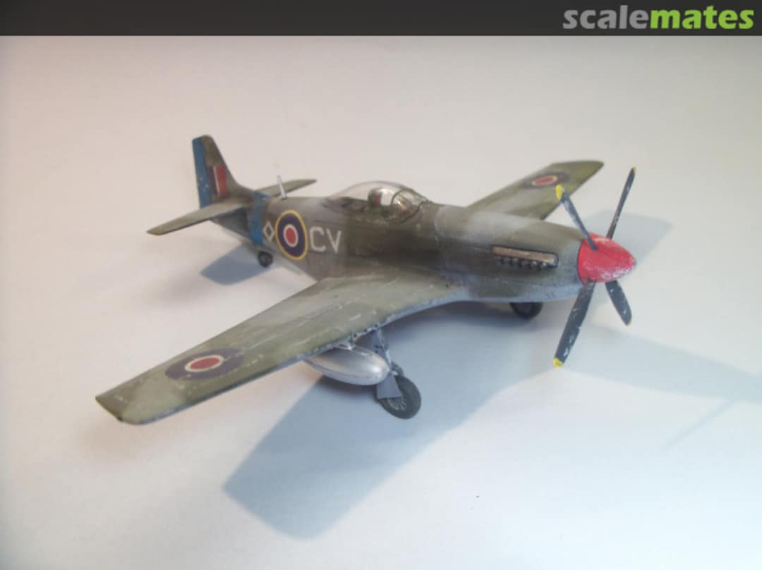 View album, image #19 View album, image #19