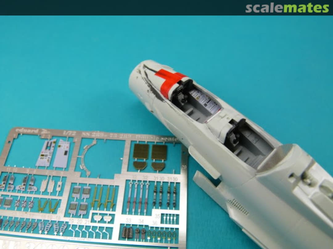 View album, image #1 View album, image #1