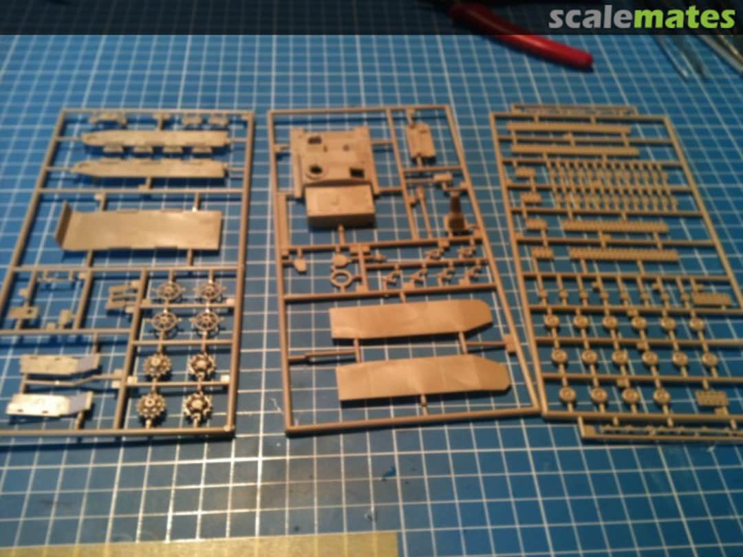 View album, image #1 View album, image #1