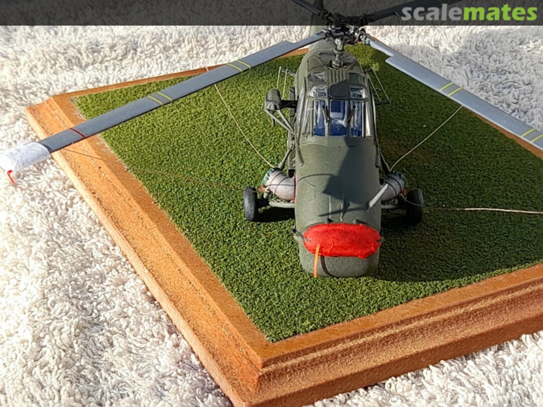 View album, image #7 View album, image #7