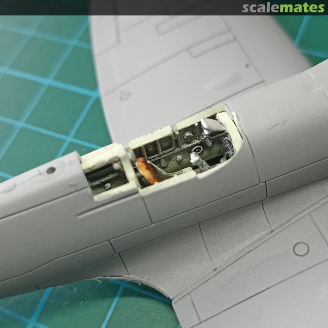 View album, image #1 View album, image #1