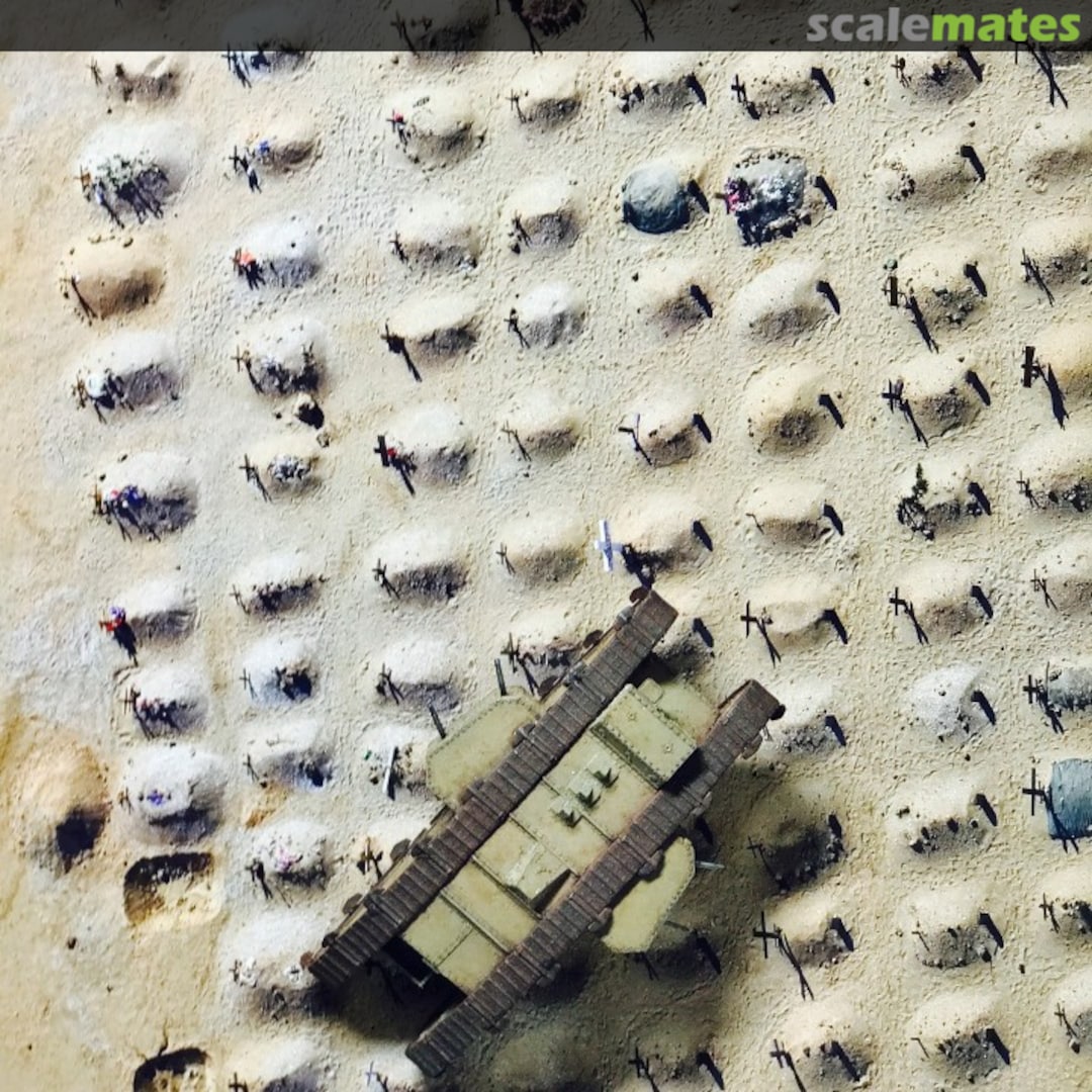 View album, image #1 View album, image #1