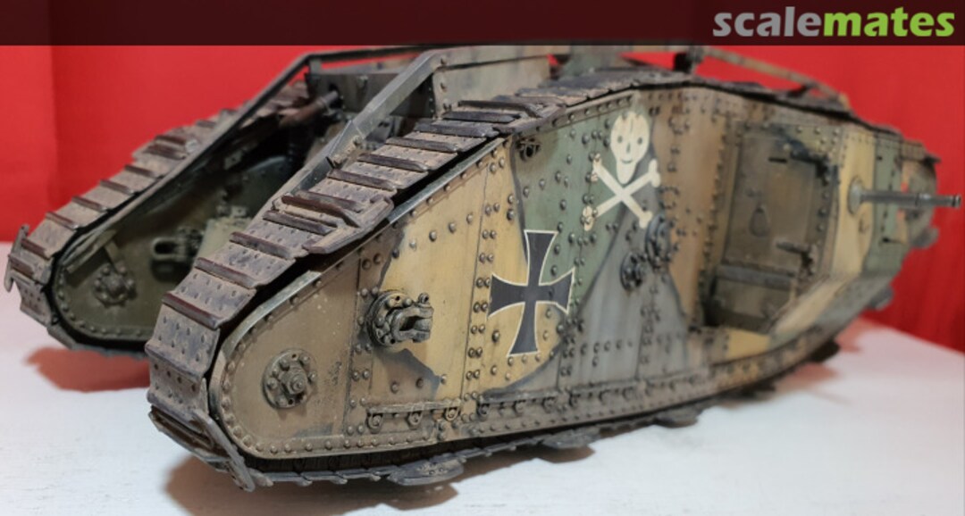 View album, image #1 View album, image #1