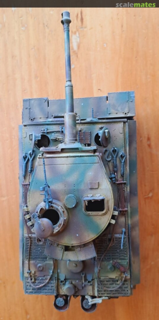 View album, image #1 View album, image #1