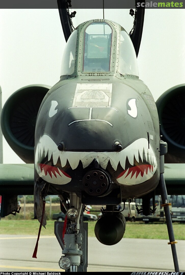 View album, image #1