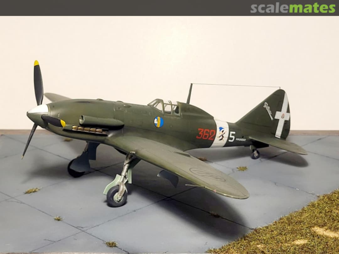 View album, image #1 View album, image #1