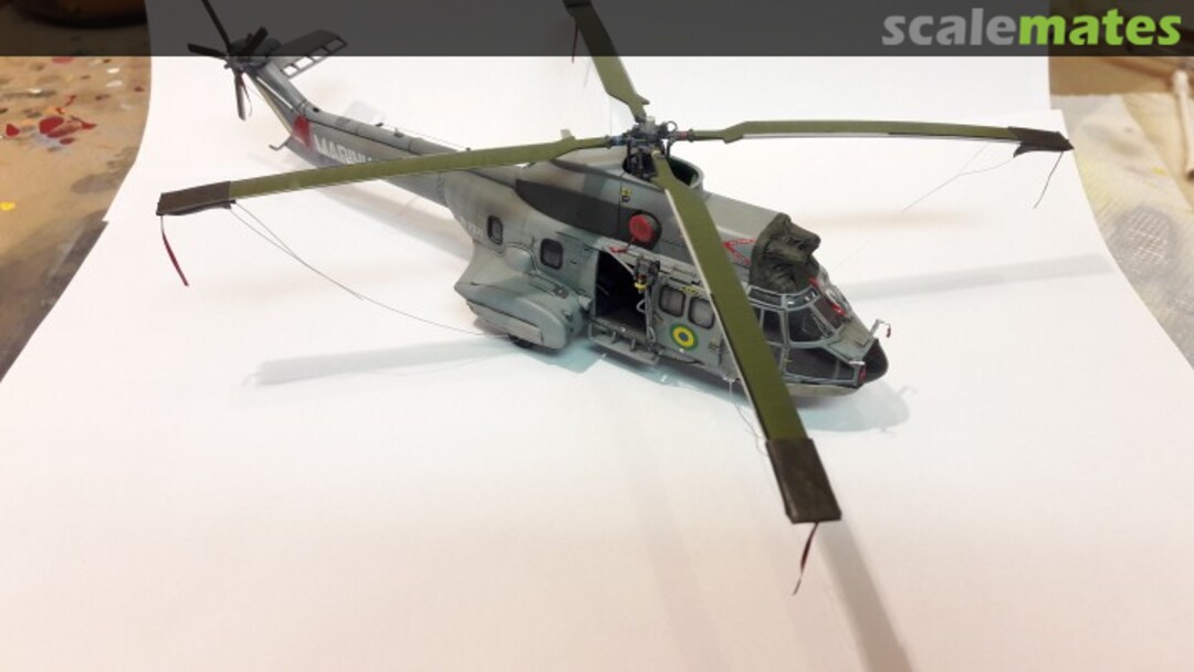 View album, image #59 View album, image #59